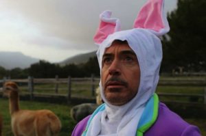 Robert Downey Jr Bunny