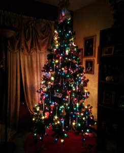 our tree