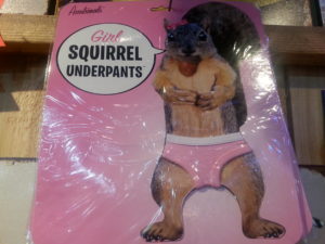 squirrel panties 1