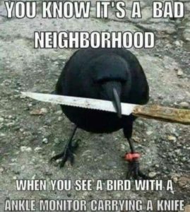 bad neighborhood