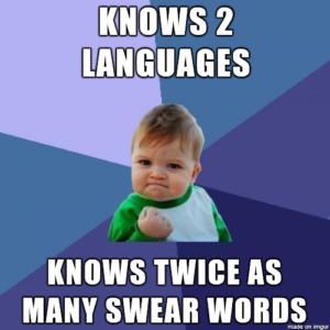 bilingual swear words