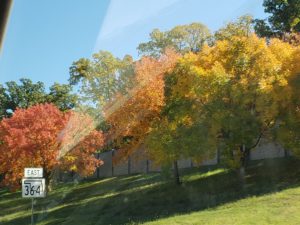 autumn color