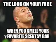 scentsy