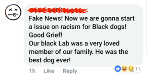 Facebook comment