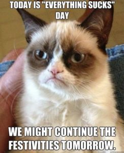 grumpy cat meme