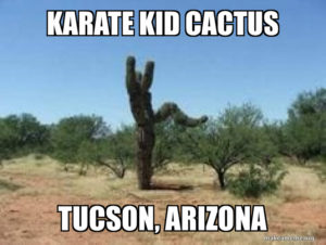 karate kid cactus