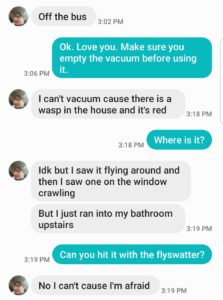 Text conversation between Kat and The Kid about a wasp in the house. Kat suggests using the vacuum or a flyswatter, but The Kid refuses because he's afraid of the wasp.