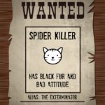 Wanted Poster