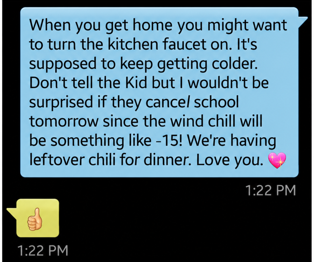 Text exchange showing Kat's lengthy message about freezing weather, school, and dinner, followed by The Husband Dude's single thumbs-up emoji.