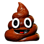 poop